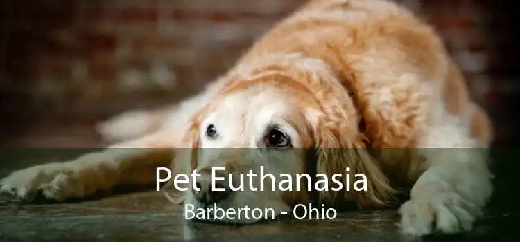 Pet Euthanasia Barberton - Ohio