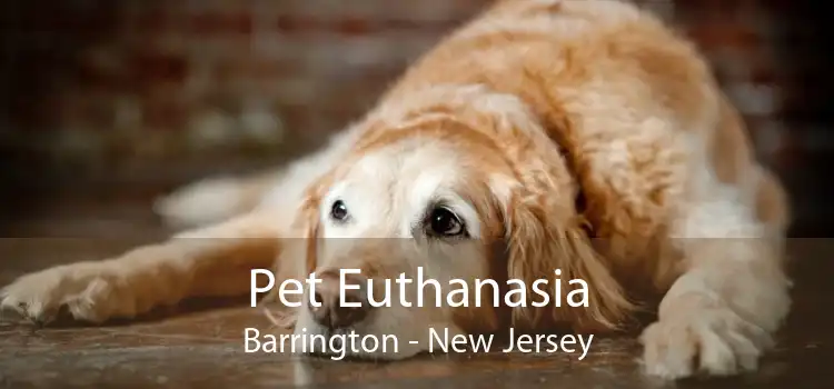 Pet Euthanasia Barrington - New Jersey
