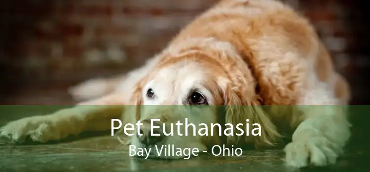 Pet Euthanasia Bay Village - Ohio