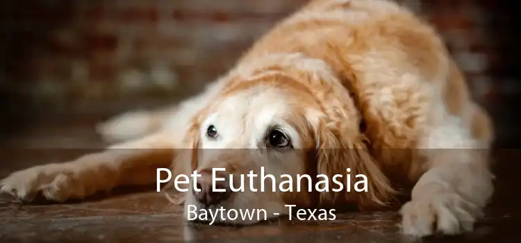 Pet Euthanasia Baytown - Texas