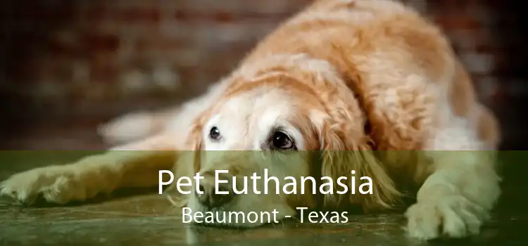 Pet Euthanasia Beaumont - Texas