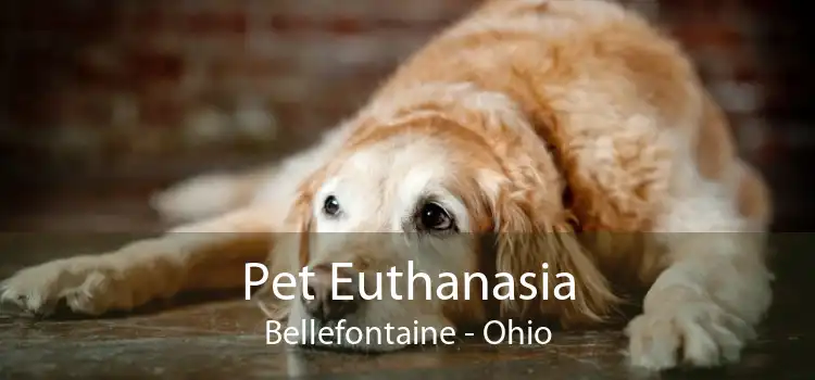 Pet Euthanasia Bellefontaine - Ohio