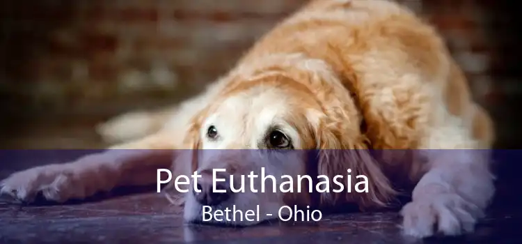 Pet Euthanasia Bethel - Ohio