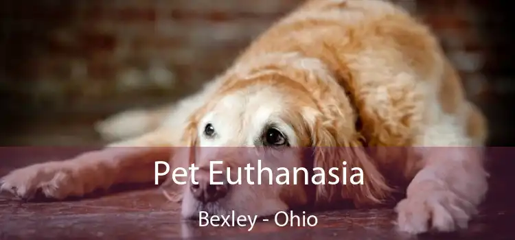 Pet Euthanasia Bexley - Ohio