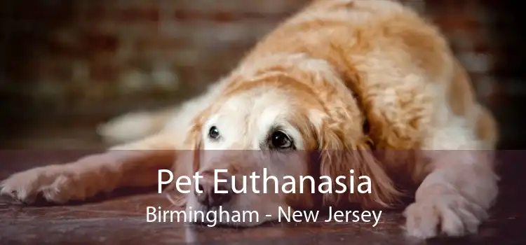 Pet Euthanasia Birmingham - New Jersey