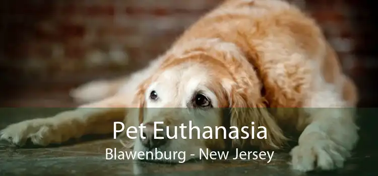 Pet Euthanasia Blawenburg - New Jersey