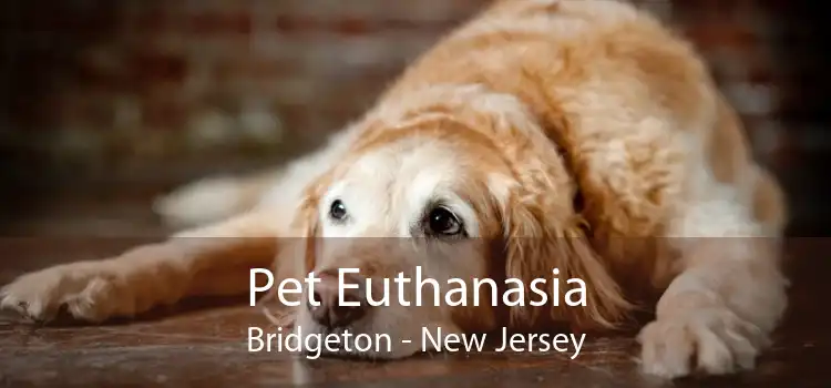 Pet Euthanasia Bridgeton - New Jersey