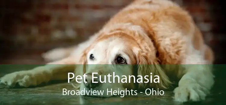 Pet Euthanasia Broadview Heights - Ohio