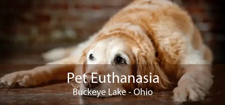 Pet Euthanasia Buckeye Lake - Ohio