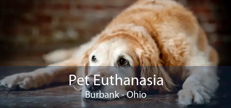 Pet Euthanasia Burbank - Ohio
