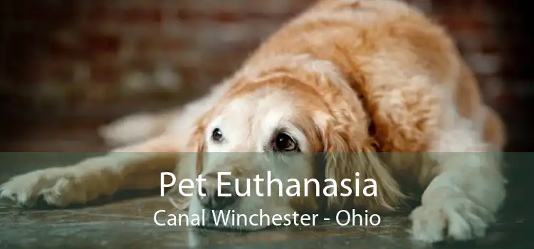 Pet Euthanasia Canal Winchester - Ohio
