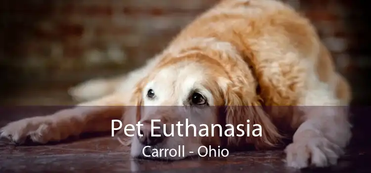 Pet Euthanasia Carroll - Ohio