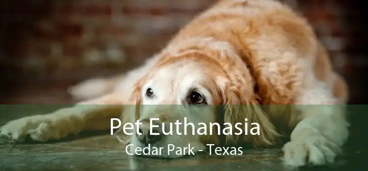 Pet Euthanasia Cedar Park - Texas