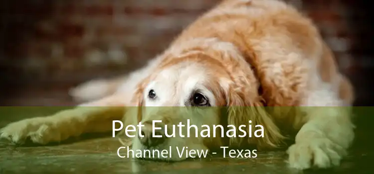 Pet Euthanasia Channel View - Texas