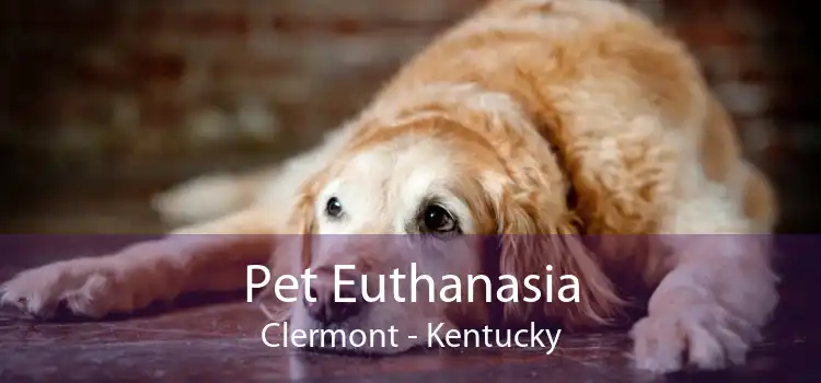 Pet Euthanasia Clermont - Kentucky