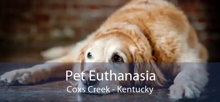 Pet Euthanasia Coxs Creek - Kentucky