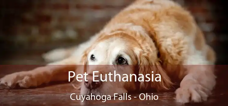 Pet Euthanasia Cuyahoga Falls - Ohio