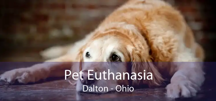 Pet Euthanasia Dalton - Ohio