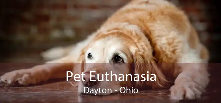 Pet Euthanasia Dayton - Ohio