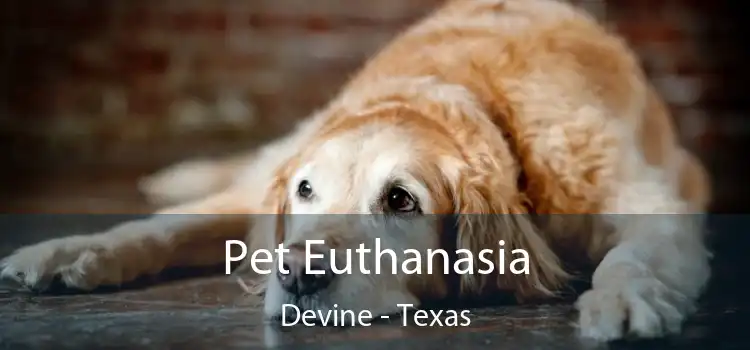 Pet Euthanasia Devine - Texas