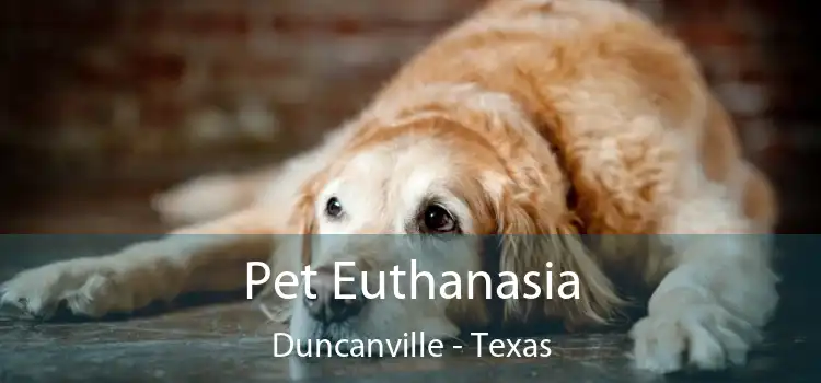 Pet Euthanasia Duncanville - Texas