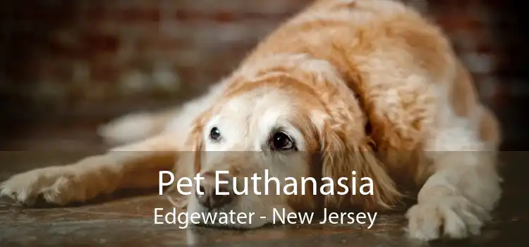 Pet Euthanasia Edgewater - New Jersey