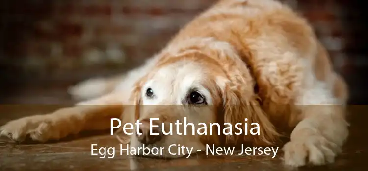 Pet Euthanasia Egg Harbor City - New Jersey