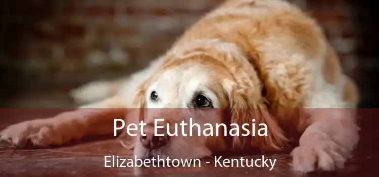 Pet Euthanasia Elizabethtown - Kentucky