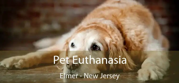 Pet Euthanasia Elmer - New Jersey