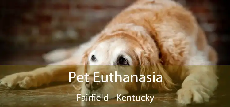Pet Euthanasia Fairfield - Kentucky