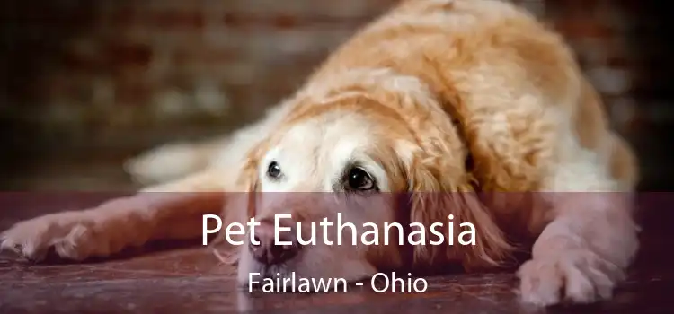 Pet Euthanasia Fairlawn - Ohio