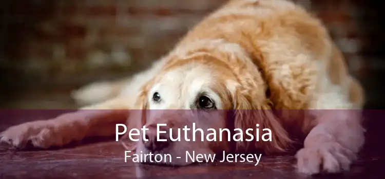 Pet Euthanasia Fairton - New Jersey