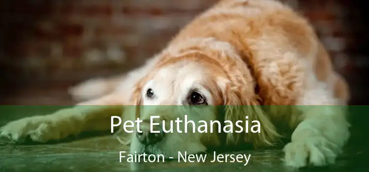 Pet Euthanasia Fairton - New Jersey