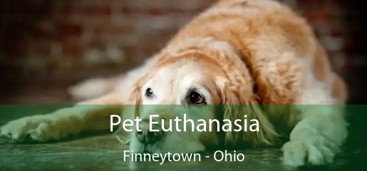 Pet Euthanasia Finneytown - Ohio