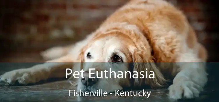 Pet Euthanasia Fisherville - Kentucky