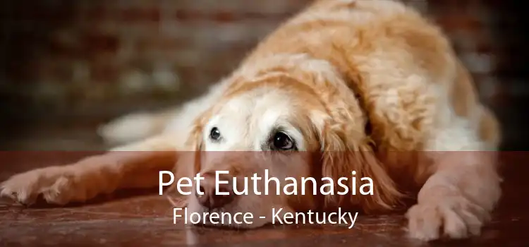 Pet Euthanasia Florence - Kentucky