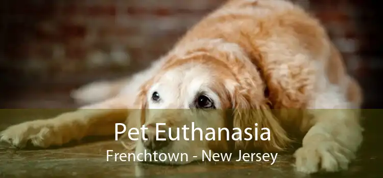 Pet Euthanasia Frenchtown - New Jersey