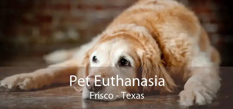 Pet Euthanasia Frisco - Texas