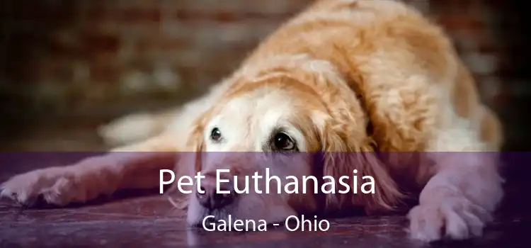 Pet Euthanasia Galena - Ohio