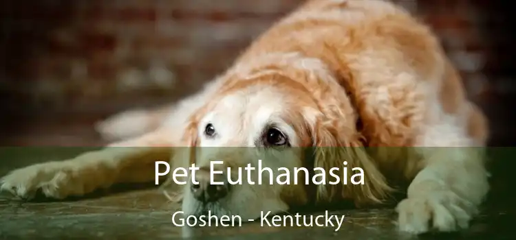 Pet Euthanasia Goshen - Kentucky