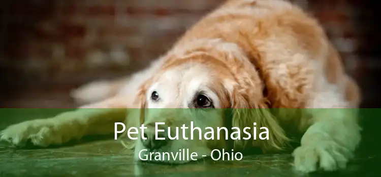 Pet Euthanasia Granville - Ohio