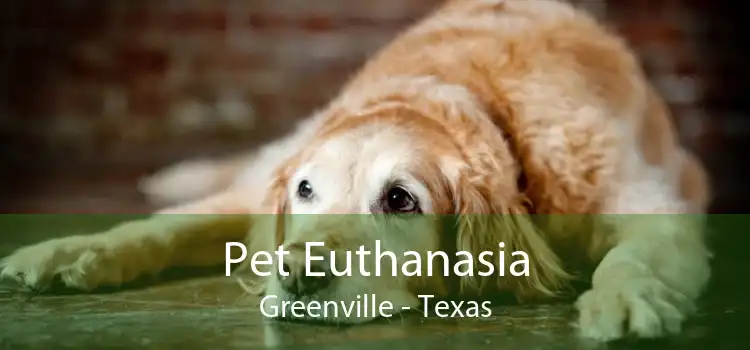Pet Euthanasia Greenville - Texas