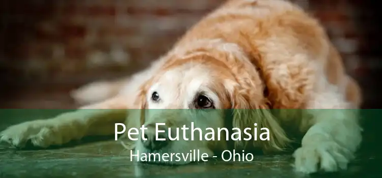 Pet Euthanasia Hamersville - Ohio