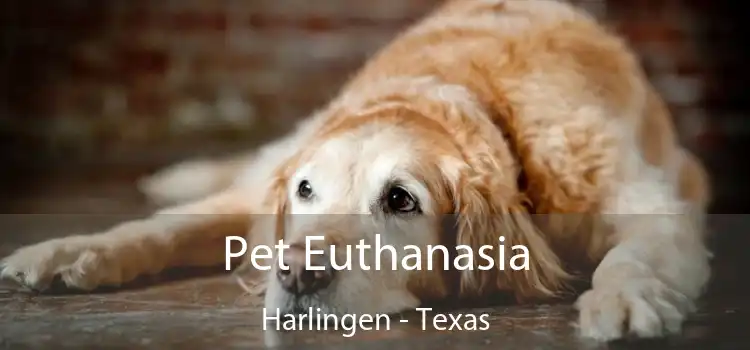 Pet Euthanasia Harlingen - Texas