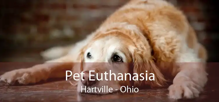 Pet Euthanasia Hartville - Ohio