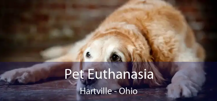 Pet Euthanasia Hartville - Ohio
