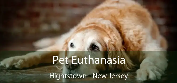 Pet Euthanasia Hightstown - New Jersey
