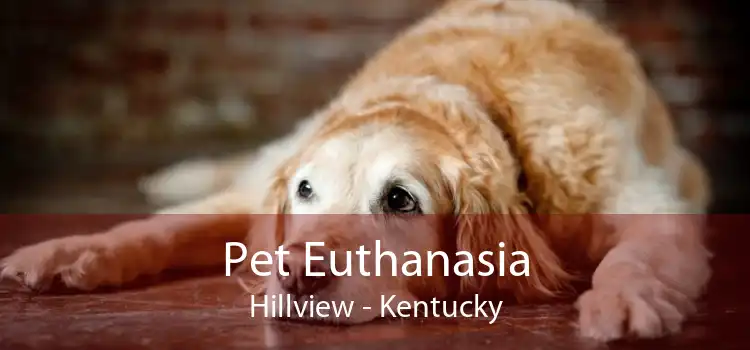 Pet Euthanasia Hillview - Kentucky