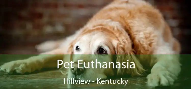 Pet Euthanasia Hillview - Kentucky