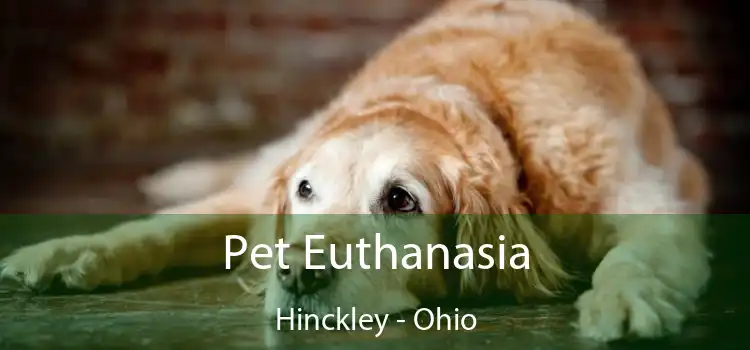 Pet Euthanasia Hinckley - Ohio